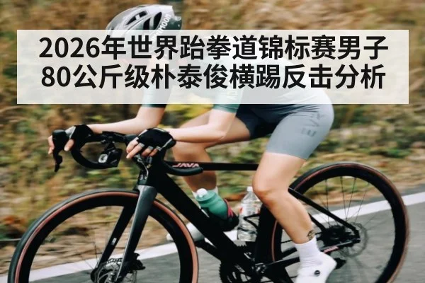2026年世界跆拳道锦标赛男子80公斤级朴泰俊横踢反击分析