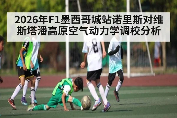 2026年F1墨西哥城站诺里斯对维斯塔潘高原空气动力学调校分析