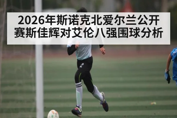 2026年斯诺克北爱尔兰公开赛斯佳辉对艾伦八强围球分析